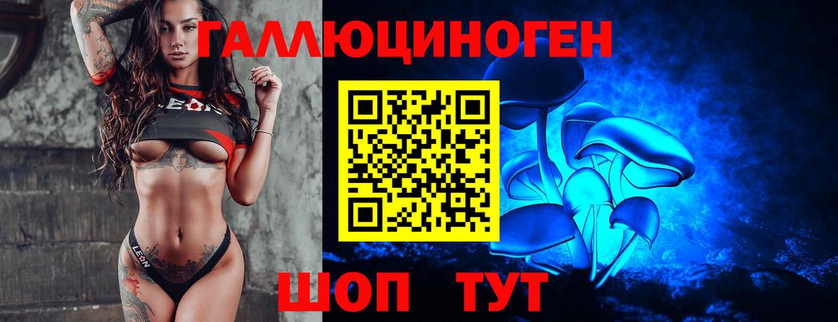 Псилоцибиновые грибы Cubensis Нерюнгри