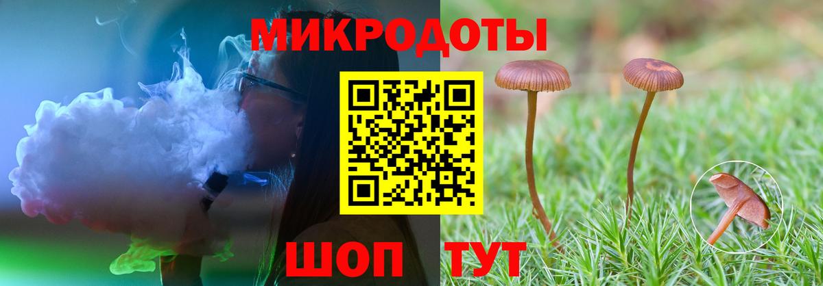где найти наркотики  Вход с VPN  Нерюнгри  Псилоцибиновые грибы прущие грибы 